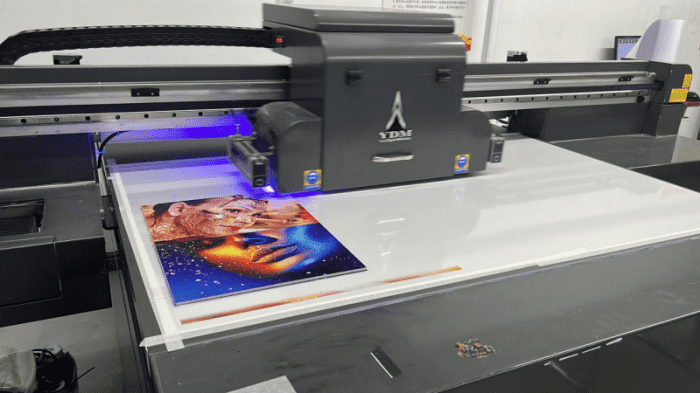 UV Flatbed Printer Redefining Printing Technology (3)